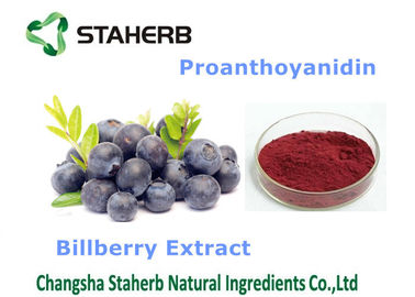 China O alimento antioxidante do extrato da uva-do-monte suplementa o pó fino roxo escuro fornecedor