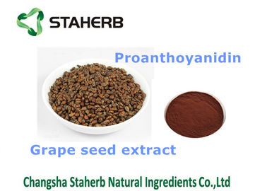 China Produtos aptos antioxidantes dos cuidados médicos do suplemento dietético ao extrato da semente da uva fornecedor