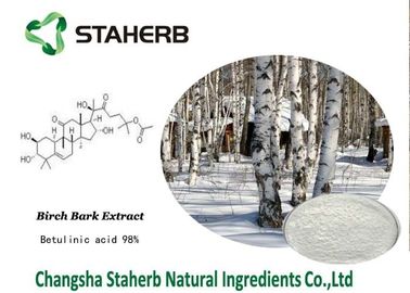 China Ingrediente ativo ácido de Betulin do pó da casca de vidoeiro da matéria prima de Pharma fornecedor
