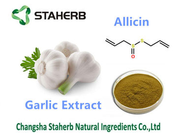 China Cas 539 86 6 extratos anti-bacterianos da planta de Allicin, extratos antimicrobiais da planta fornecedor