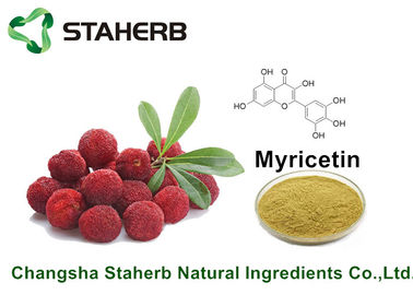 China A planta natural pura da casca do Bayberry extrai o Myricetin 98% para o produto da saúde pela HPLC fornecedor