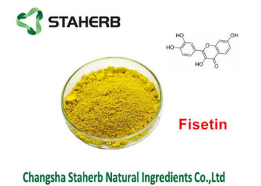 China Extrato Fisetin 50% - 95% de Smoketree do extrato da planta verde de Coggygria do Cotinus fornecedor