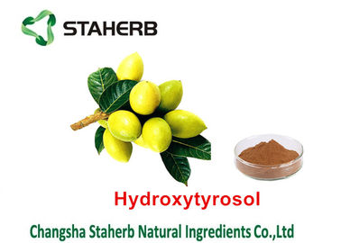 China Extrato erval da planta da folha verde-oliva, tipo erval orgânico da extração solvente dos extratos fornecedor