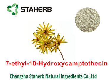 China Nenhuma planta 86639-52-3 natural pura do Cas extrai 7 - etilo - 10 - pó de Hydroxycamptothecin fornecedor