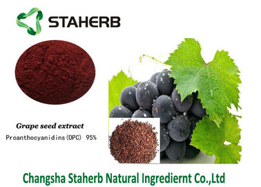 Dos materiais de referência padrão do extrato da semente da uva Polyphenols de Proanthocyanidins contidos fornecedor