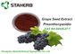 OPC orgânico 95% CAS 84929 do extrato da semente da uva dos ingredientes da composição do anti oxidante 27 1 fornecedor