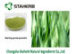 Pulverizador da cor verde de Gine do pó do suco da grama de cevada da erva - extração secada fornecedor