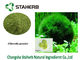 Pó de algas verdes vegetal do pó do extrato da proteína do Chlorella fornecedor