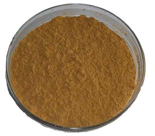 O pó amargo Charantin do extrato do melão das anti matérias primas perdedoras do peso do câncer conteve fornecedor