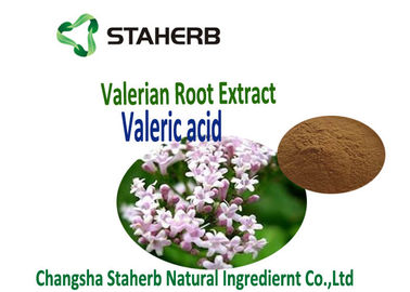 Extrato da raiz da valeriana usado para o adid anti-bacteriano e antiviroso de Valearic do extrato da planta fornecedor