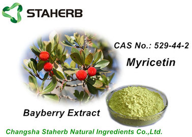 pó Anti-inflamatório do extrato da planta do Myricetin 98% do extrato da casca do Bayberry fornecedor