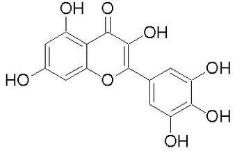 pó Anti-inflamatório do extrato da planta do Myricetin 98% do extrato da casca do Bayberry fornecedor