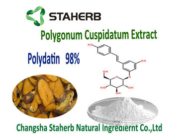 Pó natural puro 98% de Polydatin da raiz de Cuspidatum do Polygonum do extrato, HPLC 65914-17-2 de 50% fornecedor