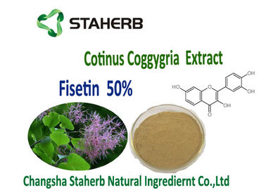 a planta orgânica Anti-inflamatório e antiproliferativa da árvore de fumo extrai o extrato de Coggygria do Cotinus do pó de 50% Fisetin fornecedor