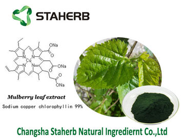 Chlorophyllin anti-bacteriano do cobre do sódio do extrato da folha da amoreira dos extratos da planta de Chlorophyllin fornecedor