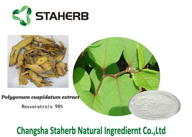 Extrato antioxidante do cuspidatum do Polygonum do suplemento dietético ao Resveratrol fornecedor