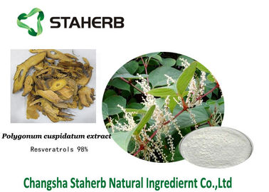 Extrato antioxidante do cuspidatum do Polygonum do suplemento dietético ao Resveratrol fornecedor