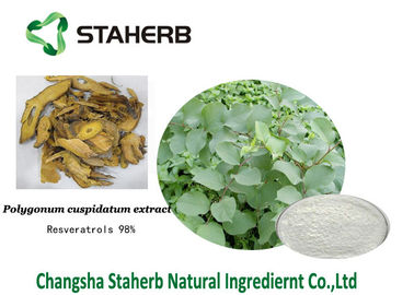 Extrato antioxidante do cuspidatum do Polygonum do suplemento dietético ao Resveratrol fornecedor