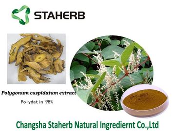 Do extrato erval puro do cuspidatum do Polygonum dos extratos de Polydatin pó fino cristalino branco fornecedor