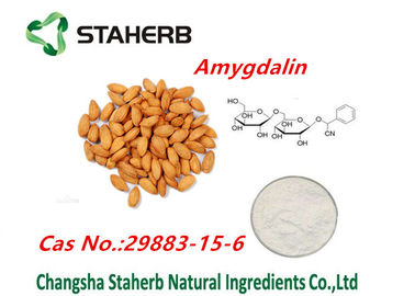 Pó amargo erval de Amydalin do extrato da semente do abricó dos extratos naturais puros da planta fornecedor