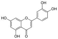 Pó natural puro do extrato do Luteolin do escudo dos amendoins dos extratos da planta fornecedor