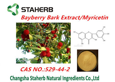 Extrato natural puro da casca do bayberry dos extratos da planta do suplemento à saúde do pó do myricetin fornecedor