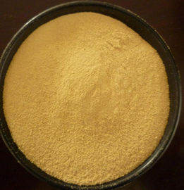 Extrato natural puro da casca do bayberry dos extratos da planta do suplemento à saúde do pó do myricetin fornecedor