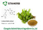 20283-92-5 extrato do erva-cidreira, Rosmarinic QS kosher antioxidante ácido fornecedor