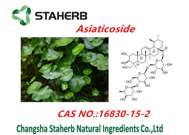 O extrato Asiatica de Centella/planta natural pura extrai o pó de Asiaticosides fornecedor