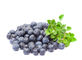 O alimento antioxidante do extrato da uva-do-monte suplementa o pó fino roxo escuro fornecedor