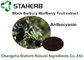 Extrato preto do fruto de Barbary Wolfberry, ingredientes de alimento naturais para a bebida fornecedor