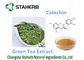 Pó antioxidante do Catechin 50-98% do suplemento dietético ao extrato do chá verde fornecedor