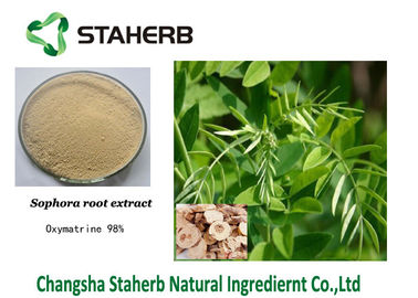 Oxymatrine concentrou a pureza do inseticida 98% do inseticida do extrato da planta fornecedor