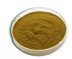 Cas 539 86 6 extratos anti-bacterianos da planta de Allicin, extratos antimicrobiais da planta fornecedor