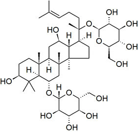 Produto comestível natural puro do pó do ginsém de Ginsenosides 30% do extrato do ginsém da planta fornecedor