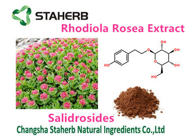 A planta natural pura do extrato fêmea de Rhodiola Rosea da saúde extrai Salidrosides 3% fornecedor