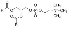 A planta natural pura do extrato do feijão de soja extrai cuidados médicos do Phosphatidylcholine 80% fornecedor
