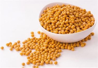 A planta natural pura do extrato do feijão de soja extrai cuidados médicos do Phosphatidylcholine 80% fornecedor