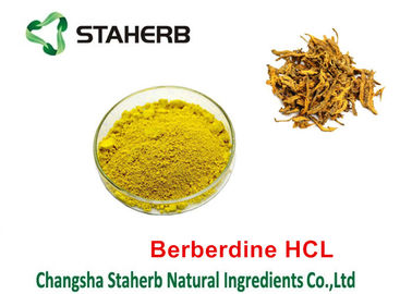 A planta natural pura do extrato Chinensis do Coptis extrai HCL 98% de Berberine fornecedor