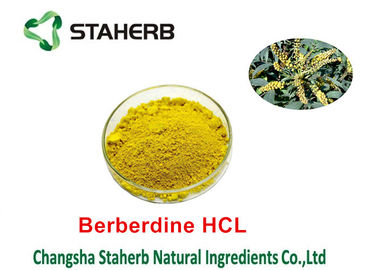 A planta natural pura do extrato Chinensis do Coptis extrai HCL 98% de Berberine fornecedor