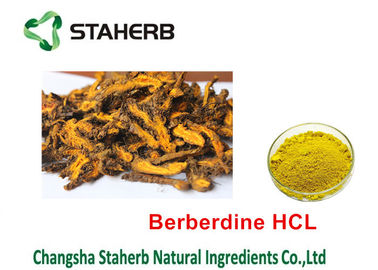 A planta natural pura do extrato Chinensis do Coptis extrai HCL 98% de Berberine fornecedor